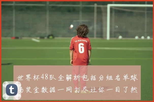 世界杯48队全解析包括分组名单球场奖金数据一网打尽让你一目了然
