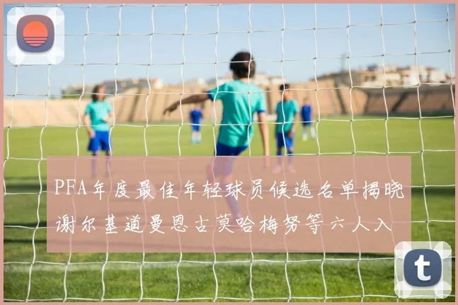 PFA年度最佳年轻球员候选名单揭晓谢尔基道曼恩古莫哈梅努等六人入围