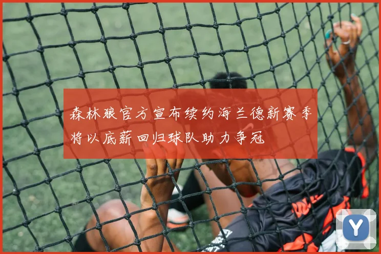 森林狼官方宣布续约海兰德新赛季将以底薪回归球队助力争冠