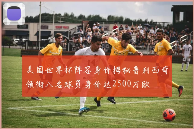 美国世界杯阵容身价揭秘普利西奇领衔八名球员身价达2500万欧