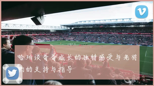 哈珀谈哥哥成长的独特感受与老将们的支持与指导