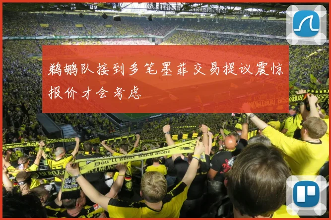 鹈鹕队接到多笔墨菲交易提议震惊报价才会考虑